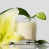 Alo Love Ljus – 8 oz