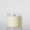 Alo Love Ljus – 8 oz