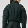 Stargazing Puffer – kolgrön